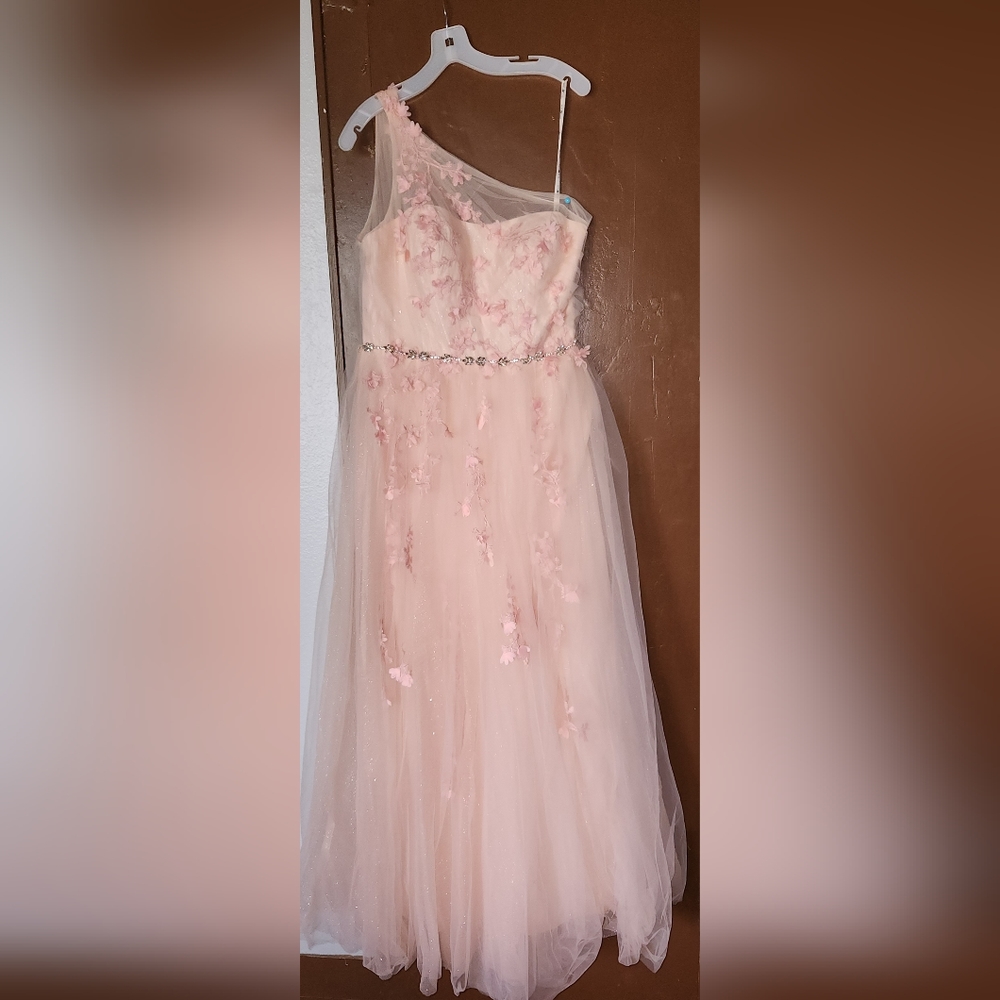 Prom/Evening Gown